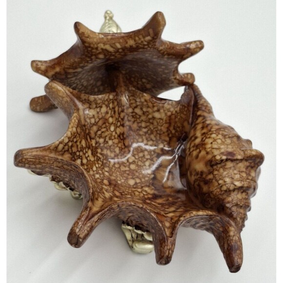 Shell Decorative Beach Decor Conch Trinket Box with Lid  Jewelry Key Dish Resin - Picture 1 of 16